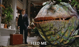 Movie gif. The giant, man-eating plant in Little Shop of Horrors pleads with Actor Rick Moranis to feed him.