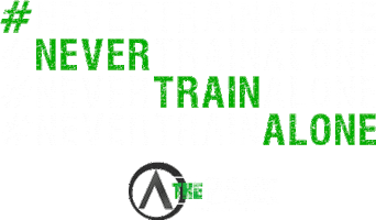 Atthepark Sticker