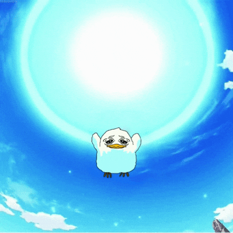 Meme GIF