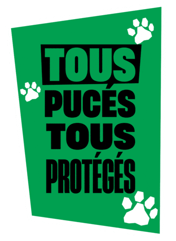 Cat Dog Sticker by Fichier National I-CAD