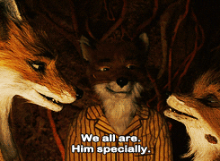 wes anderson film GIF