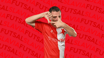 Zoom Futsal GIF