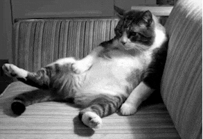 tired black and white GIF