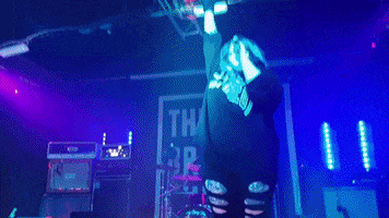 GIF by Novustory