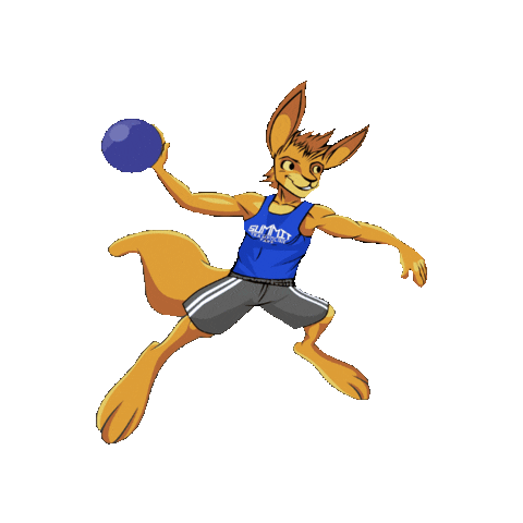 summit tobalaba Sticker