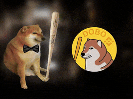Dog Meme GIF by DogeBONK