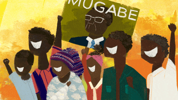 Robert Mugabe Zimbabwe GIF