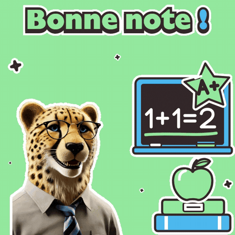 School Business GIF by solydari