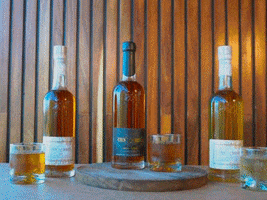 Drink Mexico GIF by Tequila Cien Rifles