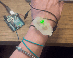 Animated GIF