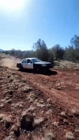 Ford Crown Victoria GIF
