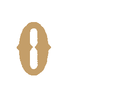 origembjj Sticker