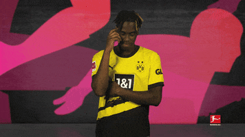 Borussia Dortmund Thinking GIF by Bundesliga