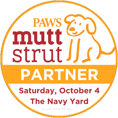 Dogs Walk Sticker by PhillyPAWS