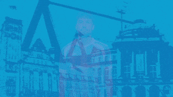 Football Tor GIF by ChemnitzerFC