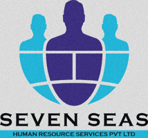 Security 7Seas GIF
