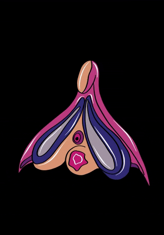 tachadesign GIF
