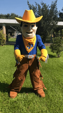 Superman GIF by McNeese State University