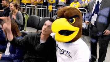 Golden Eagle Brewers GIF by Marquette Athletics