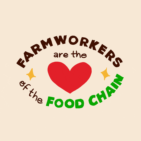 Text gif. Dancing, capitalized text surrounds a large red heart with the message, “Farmworkers are the heart of the food chain.”