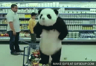 giphy.gif?cid=4bf119fc5ce4322d4862736336dc8a7b&rid=giphy.gif