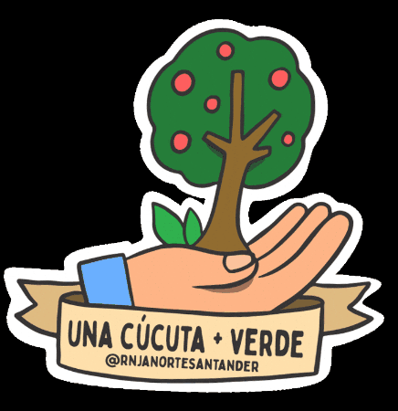 Norte De Santander Cucuta GIF