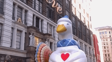 200.gif?cid=fc005b08c6b1c26d3e760ee822d60f304991e16a9f27c115&rid=200.gif&ct=g