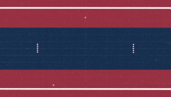 Newfoundland Regiment GIF