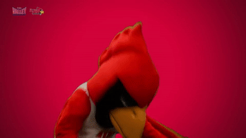 illinois state redbirds GIF by Missouri Valley Conference