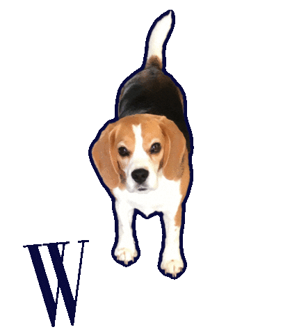 W REAL ESTATE Sticker