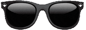 Sunglasses Own Your Data Sticker by Wibson