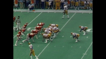 hall of fame football GIF by Pitt Panthers