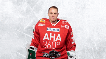 Hockey Del GIF by Augsburger Panther Eishockey GmbH