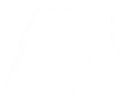 Insurance Aspen Sticker by AmeriLife