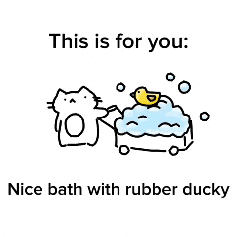 Rubber Duck Cat GIF