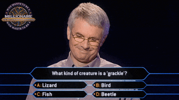 Who Wants To Be A Millionaire Eyebrows GIF by Stellify Media