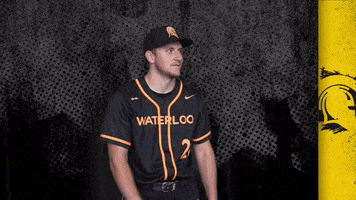Black And Gold Baseball GIF by Waterloo Warriors