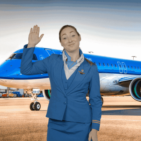 Cabin Crew Dance GIF by KLM