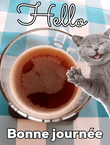 Bonne Journée GIF