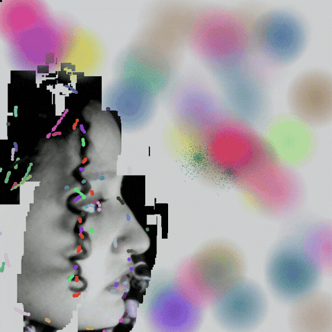 GIF by Boopy Club