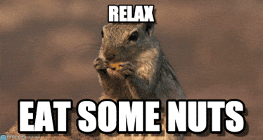 Secret Squirrel GIFs - Find & Share on GIPHY