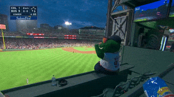 Red Sox Sport GIF by MLB