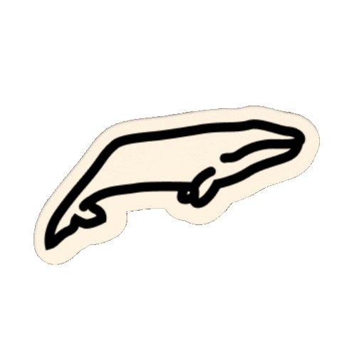 NORO Sticker