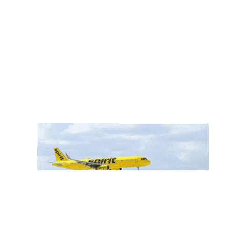 Book A Spirit Flight Sticker