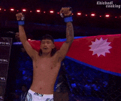 Mma GIF