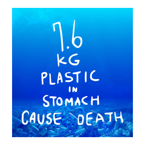 Seoul Goodbye Sticker by official_seoul