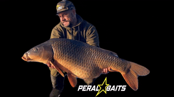 Art Water GIF by PERALBAITS_OFFICIAL