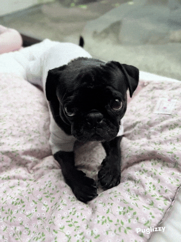 I Love You Be Mine GIF