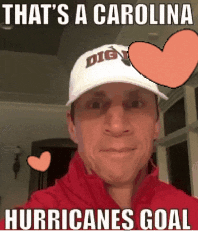 Carolina Hurricanes Nhl GIF