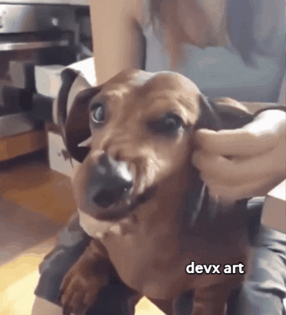 Dog Face GIF by DevX Art